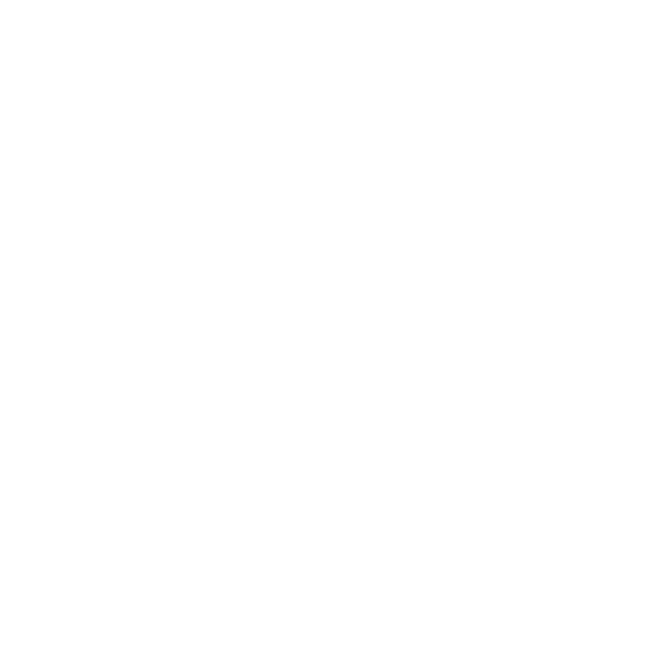Spotify Playlist icon